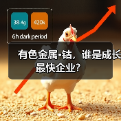 有色金属·钴,谁是成长最快企业?(图3) 有色金属·钴,谁是成长最快企业?(图3)