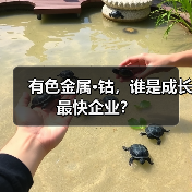 有色金属·钴,谁是成长最快企业?(图2) 有色金属·钴,谁是成长最快企业?(图2)