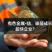 有色金属·钴,谁是成长最快企业?(图1) 有色金属·钴,谁是成长最快企业?(图1)