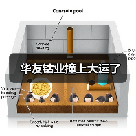 华友钴业撞上大运了(图4) 华友钴业撞上大运了(图4)