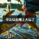 华友钴业撞上大运了(图2) 华友钴业撞上大运了(图2)