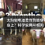 太阳能电池柔性到能穿身上？科学家用AI模拟出科幻太阳能材料（图2）