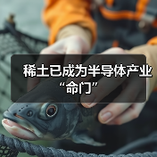 稀土已成为半导体产业“命门”（图2）