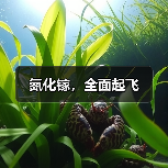 氮化镓，全面起飞（图2）