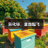 氮化镓，全面起飞（图4）