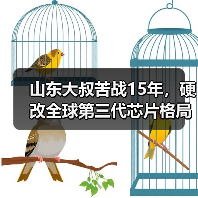 山东大叔苦战15年,硬改全球第三代芯片格局(图2) 山东大叔苦战15年,硬改全球第三代芯片格局(图2)