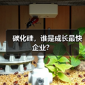 碳化硅,谁是成长最快企业?(图2) 碳化硅,谁是成长最快企业?(图2)