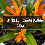 碳化硅,谁是成长最快企业?(图1) 碳化硅,谁是成长最快企业?(图1)