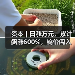 资本 | 日涨万元，累计飙涨600%，钨价闯入历史“无人区”（图4）