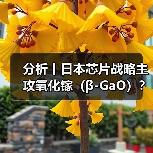 分析丨日本芯片战略主攻氧化镓(β-GaO)?(图2) 分析丨日本芯片战略主攻氧化镓(β-GaO)?(图2)