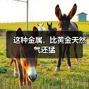 这种金属，比黄金天然气还猛（图4）