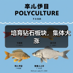 培育钻石板块，集体大涨（图3）