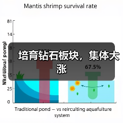 培育钻石板块，集体大涨（图4）