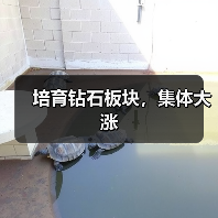 培育钻石板块，集体大涨（图2）