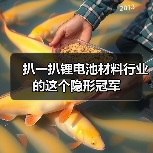 扒一扒锂电池材料行业的这个隐形冠军(图1) 扒一扒锂电池材料行业的这个隐形冠军(图1)