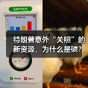 特朗普意外“关照”的新资源,为什么是磷?(图4) 特朗普意外“关照”的新资源,为什么是磷?(图4)