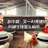涨停潮!又一AI关键材料被全球巨头疯抢(图3) 涨停潮!又一AI关键材料被全球巨头疯抢(图3)