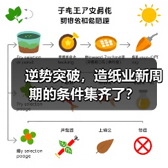 逆势突破，造纸业新周期的条件集齐了？（图3）