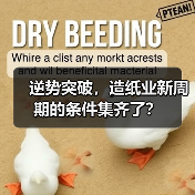 逆势突破，造纸业新周期的条件集齐了？（图1）
