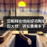贝斯特业绩向好毛利率却大降：研发费用率下滑，持续分红上亿（图2）