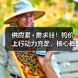 供应紧+需求旺!钨价上行动力充足,核心概念股年内股价已翻倍(图1) 供应紧+需求旺!钨价上行动力充足,核心概念股年内股价已翻倍(图1)