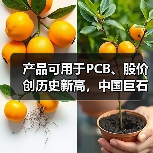 产品可用于PCB、股价创历史新高，中国巨石利润大增后仍不及2022年同期一半（图4）