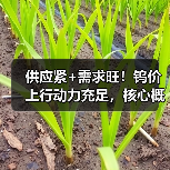 供应紧+需求旺!钨价上行动力充足,核心概念股年内股价已翻倍(图3) 供应紧+需求旺!钨价上行动力充足,核心概念股年内股价已翻倍(图3)