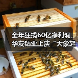 全年狂揽60亿净利润，华友钴业上演“大象起舞”（图1）