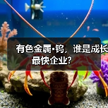 有色金属·钨,谁是成长最快企业?(图1) 有色金属·钨,谁是成长最快企业?(图1)