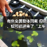 有色金属整体回调 但铜、铝可能迎来了“上车”良机(图3) 有色金属整体回调 但铜、铝可能迎来了“上车”良机(图3)