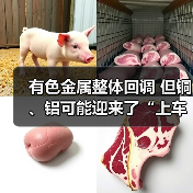 有色金属整体回调 但铜、铝可能迎来了“上车”良机(图1) 有色金属整体回调 但铜、铝可能迎来了“上车”良机(图1)