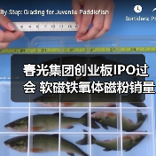春光集团创业板IPO过会 软磁铁氧体磁粉销量居国内首位丨A股融资快报(图2) 春光集团创业板IPO过会 软磁铁氧体磁粉销量居国内首位丨A股融资快报(图2)