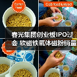 春光集团创业板IPO过会 软磁铁氧体磁粉销量居国内首位丨A股融资快报（图3）