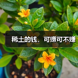 稀土的钱，可赚可不赚（图3）