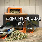 中国铝业盯上别人家饭碗了（图1）