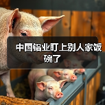 中国铝业盯上别人家饭碗了（图3）
