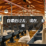 白银的过去、现在、未来（图2）