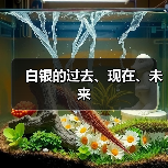 白银的过去、现在、未来（图3）