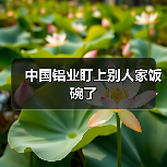 中国铝业盯上别人家饭碗了（图2）