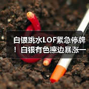白银跳水LOF紧急停牌！白银有色擦边暴涨一个月（图3）
