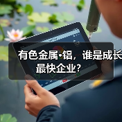 有色金属·铝，谁是成长最快企业？（图2）