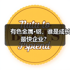 有色金属·铝，谁是成长最快企业？（图4）