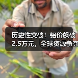 历史性突破！铝价飙破2.5万元，全球资源争夺战白热化（图1）