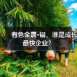 有色金属·铝，谁是成长最快企业？（图3）