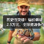 历史性突破！铝价飙破2.5万元，全球资源争夺战白热化（图3）