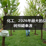 化工，2026年最大的反转预期来源（图2）