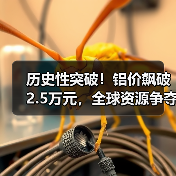 历史性突破！铝价飙破2.5万元，全球资源争夺战白热化（图4）
