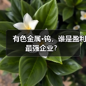 钨产业链企业盈利能力分析:谁表现最佳? 钨产业链企业盈利能力分析:谁表现最佳?