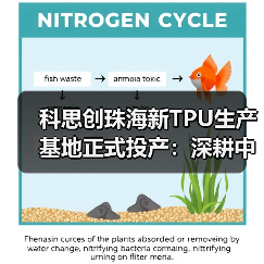 科思创珠海新TPU生产基地正式投产：深耕中国，辐射全球（图3）