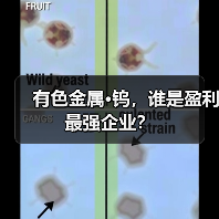 有色金属·钨,谁是盈利最强企业?(图2) 有色金属·钨,谁是盈利最强企业?(图2)